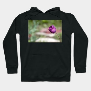 Not afraid to be alone, purple tulip flower altered photography Hoodie